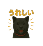 甲斐犬のかわいいスタンプ2です（個別スタンプ：28）
