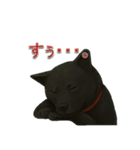 甲斐犬のかわいいスタンプ2です（個別スタンプ：32）