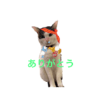 ありがとうもなかのもんちゃん（個別スタンプ：1）