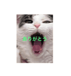 ありがとうもなかのもんちゃん（個別スタンプ：7）
