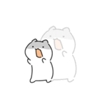 白いねこたち（個別スタンプ：18）