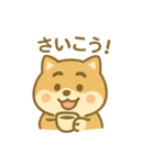 関西弁の柴犬（個別スタンプ：1）
