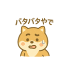 関西弁の柴犬（個別スタンプ：6）
