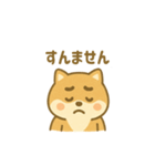 関西弁の柴犬（個別スタンプ：7）