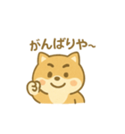 関西弁の柴犬（個別スタンプ：15）