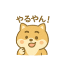 関西弁の柴犬（個別スタンプ：17）