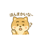関西弁の柴犬（個別スタンプ：23）
