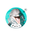 ツイートする動物たち（個別スタンプ：4）