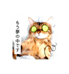 ツイートする動物たち（個別スタンプ：7）
