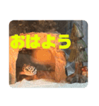 はちゅうるいまみれ（個別スタンプ：4）