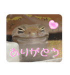 はちゅうるいまみれ（個別スタンプ：6）