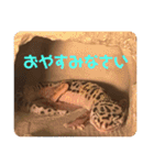 はちゅうるいまみれ（個別スタンプ：7）