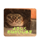 はちゅうるいまみれ（個別スタンプ：14）