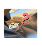 はちゅうるいまみれ（個別スタンプ：18）