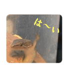 はちゅうるいまみれ（個別スタンプ：21）