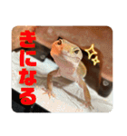 はちゅうるいまみれ（個別スタンプ：22）