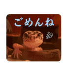 はちゅうるいまみれ（個別スタンプ：24）