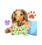 りゅうちゃんと仲間達（個別スタンプ：1）