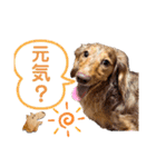 りゅうちゃんと仲間達（個別スタンプ：2）