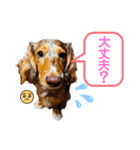 りゅうちゃんと仲間達（個別スタンプ：3）