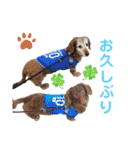 りゅうちゃんと仲間達（個別スタンプ：5）