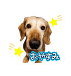 りゅうちゃんと仲間達（個別スタンプ：7）