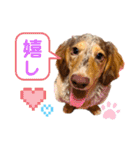 りゅうちゃんと仲間達（個別スタンプ：10）