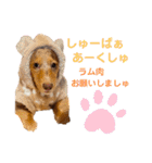 りゅうちゃんと仲間達（個別スタンプ：11）