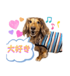りゅうちゃんと仲間達（個別スタンプ：15）