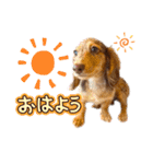りゅうちゃんと仲間達（個別スタンプ：18）
