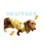 りゅうちゃんと仲間達（個別スタンプ：19）