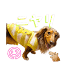 りゅうちゃんと仲間達（個別スタンプ：20）