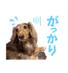 りゅうちゃんと仲間達（個別スタンプ：22）