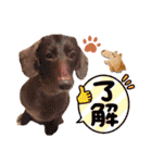 りゅうちゃんと仲間達（個別スタンプ：24）