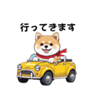 あなたへ贈る花束、柴犬普段使い♡（個別スタンプ：1）