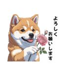 あなたへ贈る花束、柴犬普段使い♡（個別スタンプ：7）