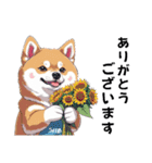 あなたへ贈る花束、柴犬普段使い♡（個別スタンプ：8）
