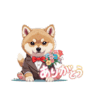 あなたへ贈る花束、柴犬普段使い♡（個別スタンプ：10）
