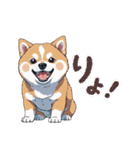 あなたへ贈る花束、柴犬普段使い♡（個別スタンプ：11）