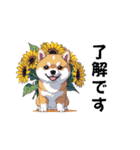 あなたへ贈る花束、柴犬普段使い♡（個別スタンプ：12）