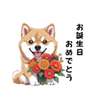 あなたへ贈る花束、柴犬普段使い♡（個別スタンプ：13）