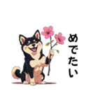 あなたへ贈る花束、柴犬普段使い♡（個別スタンプ：14）