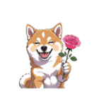 あなたへ贈る花束、柴犬普段使い♡（個別スタンプ：19）