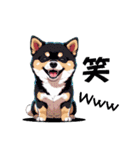 あなたへ贈る花束、柴犬普段使い♡（個別スタンプ：21）