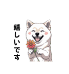 あなたへ贈る花束、柴犬普段使い♡（個別スタンプ：23）