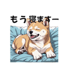 あなたへ贈る花束、柴犬普段使い♡（個別スタンプ：25）
