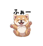 あなたへ贈る花束、柴犬普段使い♡（個別スタンプ：26）