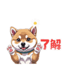 あなたへ贈る花束、柴犬普段使い♡（個別スタンプ：34）