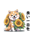 あなたへ贈る花束、柴犬普段使い♡（個別スタンプ：37）