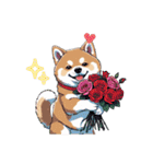 あなたへ贈る花束、柴犬普段使い♡（個別スタンプ：39）